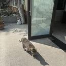 合肥旅游 缩略图 17