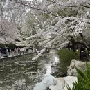 郑州旅游 缩略图 3