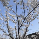 合肥旅游 缩略图 7