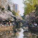 郑州旅游 缩略图 1