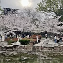 郑州旅游 缩略图 4