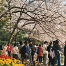 郑州旅游 缩略图 2