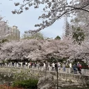 郑州旅游 缩略图 5