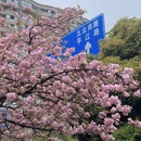 绍兴旅游 缩略图 9