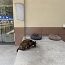 合肥旅游 缩略图 15