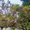 合肥旅游 缩略图 5