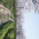 合肥旅游 缩略图 4
