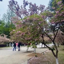 合肥旅游 缩略图 6