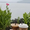 绍兴旅游 缩略图 4
