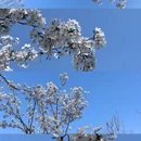 合肥旅游 缩略图 4