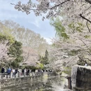 郑州旅游 缩略图 1