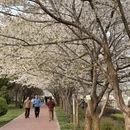 兰州旅游 缩略图 5