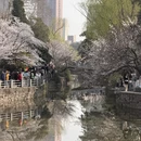 郑州旅游 缩略图 3