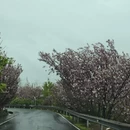 绍兴旅游 缩略图 11