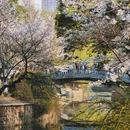 郑州旅游 缩略图 4