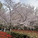 郑州旅游 缩略图 8