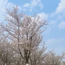 合肥旅游 缩略图 3