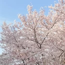 合肥旅游 缩略图 4