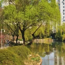 郑州旅游 缩略图 7