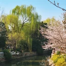 郑州旅游 缩略图 6