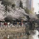 郑州旅游 缩略图 8