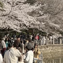 郑州旅游 缩略图 9