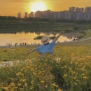郑州旅游 缩略图 6