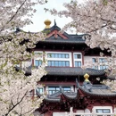绍兴旅游 缩略图 1