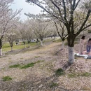 合肥旅游 缩略图 2