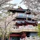 绍兴旅游 缩略图 7