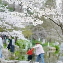 合肥旅游 缩略图 7