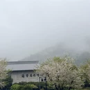 绍兴旅游 缩略图 1