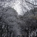 合肥旅游 缩略图 6