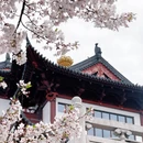 绍兴旅游 缩略图 8