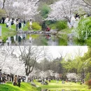 合肥旅游 缩略图 1