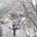 合肥旅游 缩略图 3
