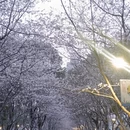 合肥旅游 缩略图 1