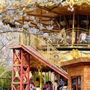 合肥旅游 缩略图 2