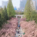 合肥旅游 缩略图 2