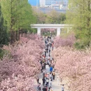 合肥旅游 缩略图 3