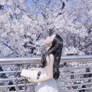 绍兴旅游 缩略图 1
