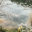 绍兴旅游 缩略图 3
