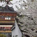 绍兴旅游 缩略图 5