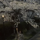 绍兴旅游 缩略图 11