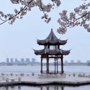 绍兴旅游 缩略图 2