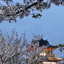 绍兴旅游 缩略图 2
