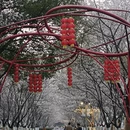合肥旅游 缩略图 2