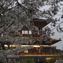 绍兴旅游 缩略图 3