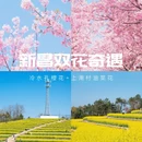 绍兴旅游 缩略图 1