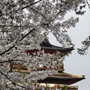 绍兴旅游 缩略图 4